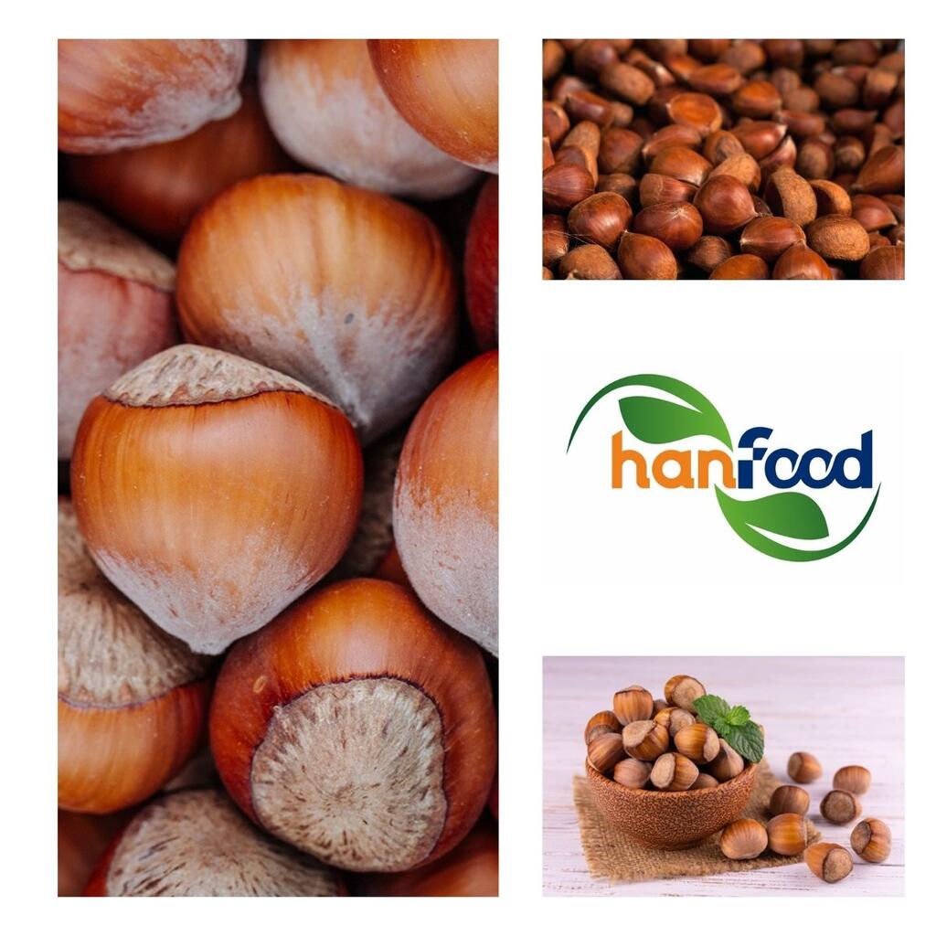Hazelnut in Shell