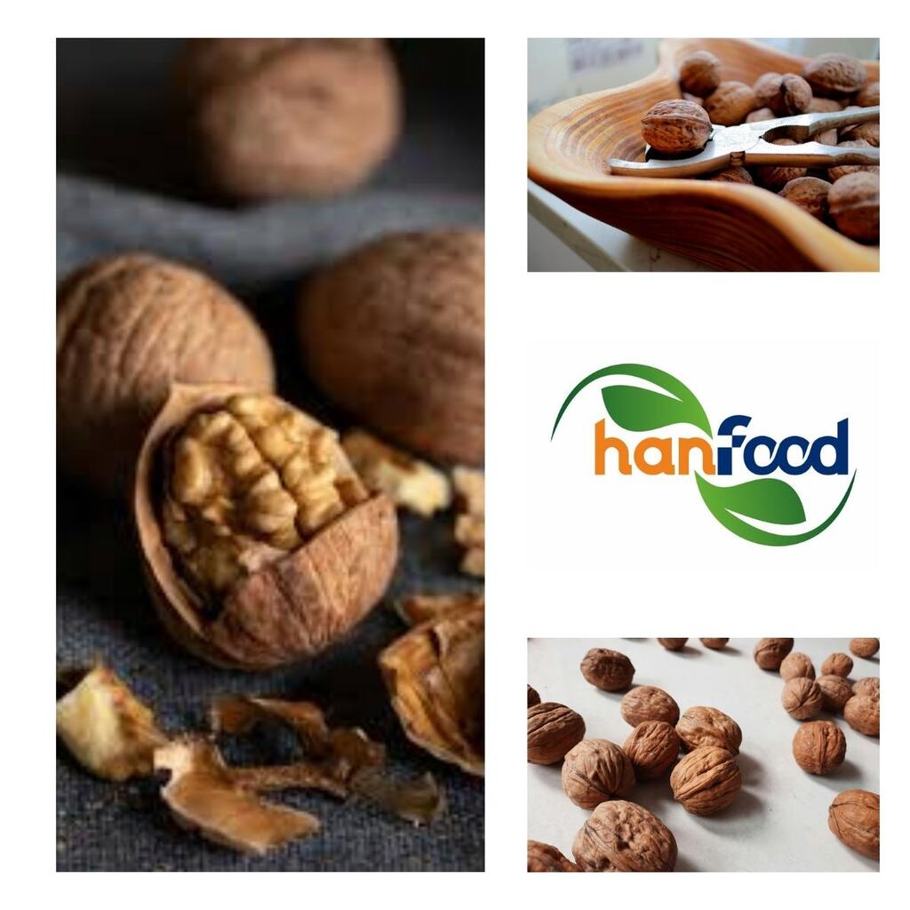 Walnut